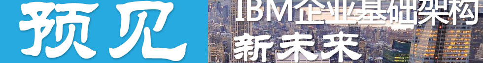 IBM ҵӲδ